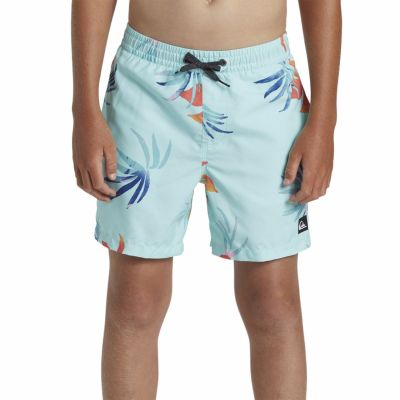 【SALE】クイックシルバー Quiksilver サーフィン サーフ 水着 ボードショーツ トランクス 海パン EVERYDAY MIX VOLLEY YTH 14 AQBJV03053 ジュニア キッズ 子ども 男の子 24SP 春夏