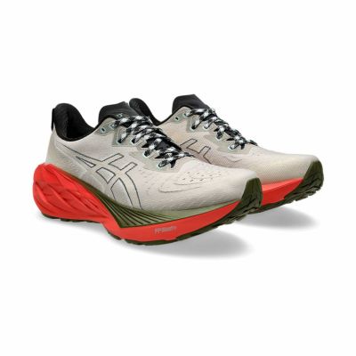 アシックスASICSランニングランシューシューズ靴ノヴァブラスト4NOVABLAST4TR1011B850-300メンズ男性24FA秋冬