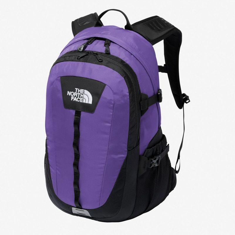 ザ・ノース・フェイスTHENORTHFACEアウトドアカジュアル鞄バッグリュックサックバックパックデイパックホットショットHOTSHOTNM72302-PLメンズレディースユニセックス25SS春夏