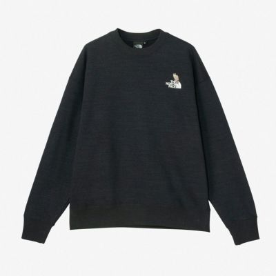 ザ・ノース・フェイスTHENORTHFACEアウトドアカジュアルウェアスウェットトレーナーズーピッカークルーZOOPICKERCREWNT12536-Kメンズレディースユニセックス25SS春夏