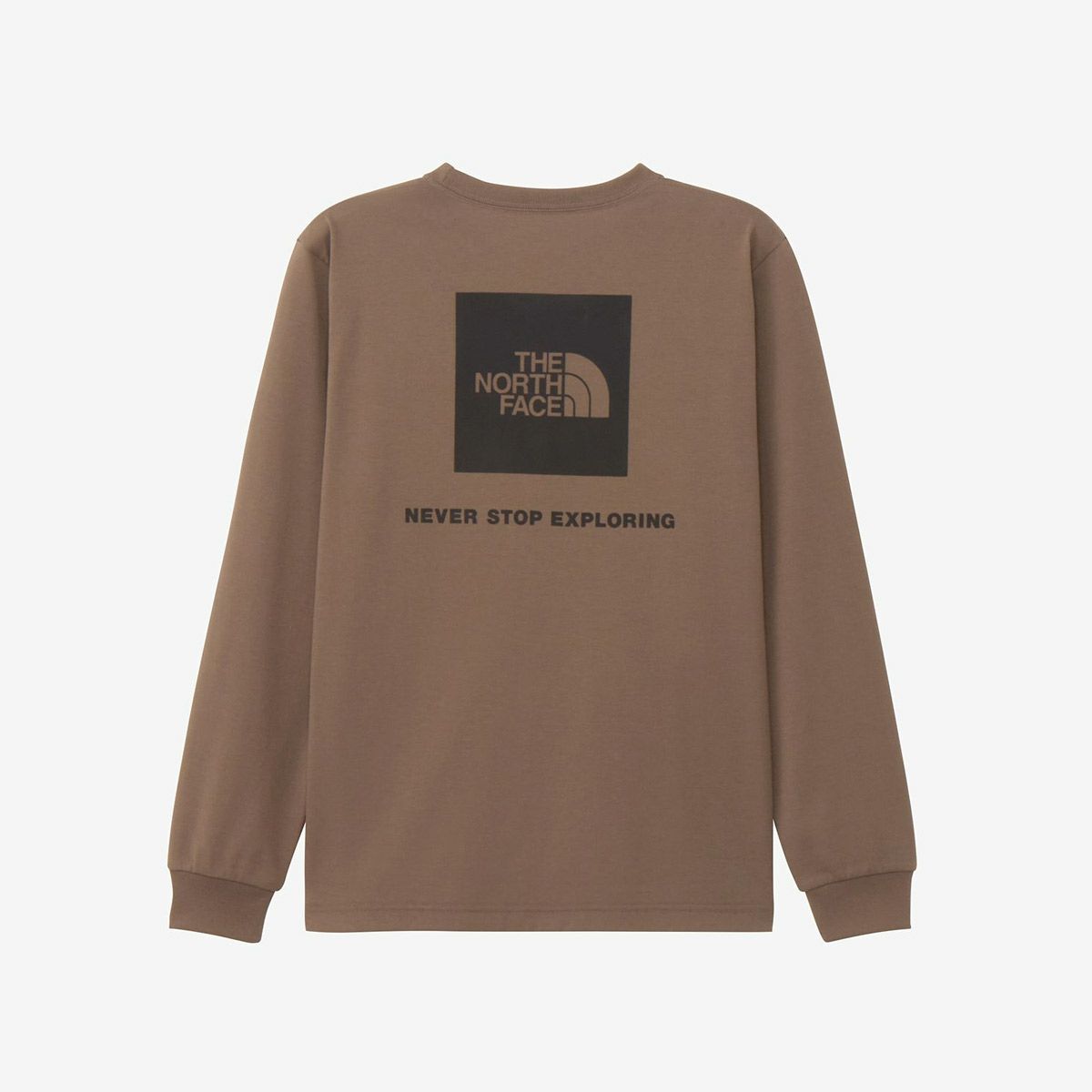 ザ・ノース・フェイスTHENORTHFACEアウトドアカジュアルウェア長袖TシャツロンTロングスリーブバックスクエアロゴティーL/SBACKSQUARELOGOTEENTW32442-SKレディース女性25SS春夏