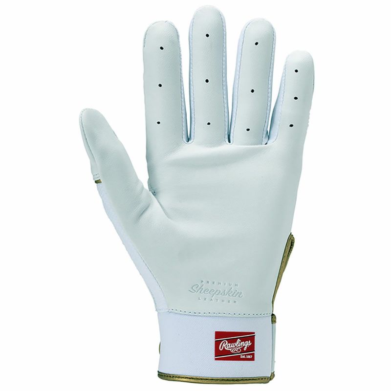 ローリングスRawlingsベースボール野球ソフトボールグローブ手袋ProPreferredバッティンググローブPPBGメンズ男性25SP春夏