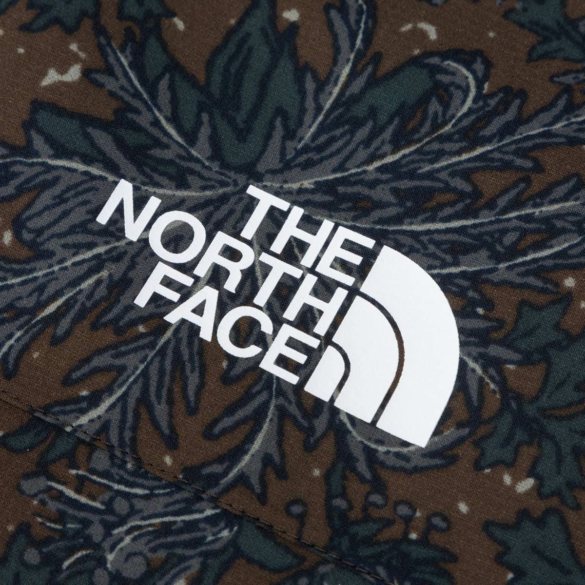 ザ・ノース・フェイスTHENORTHFACEアウトドアカジュアルウェアレインジャケットノベルティベンチャージャケットNOVELTYVENTUREJACKETNP12307-CHメンズ男性25SS春夏