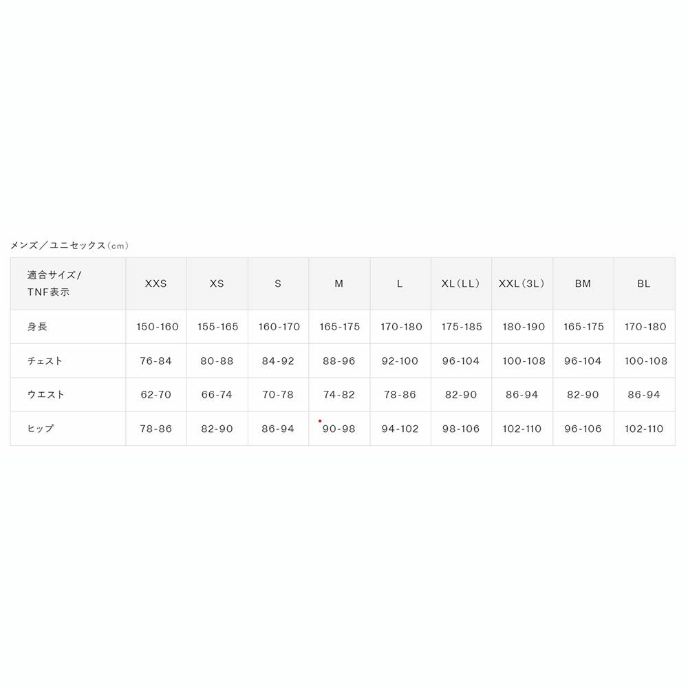 ザ・ノース・フェイスTHENORTHFACEアウトドアカジュアルウェア半袖TシャツショートスリーブヒストリカルロゴティーS/SHISTRICALLOGOTEENT32407-UNメンズ男性26SS春夏