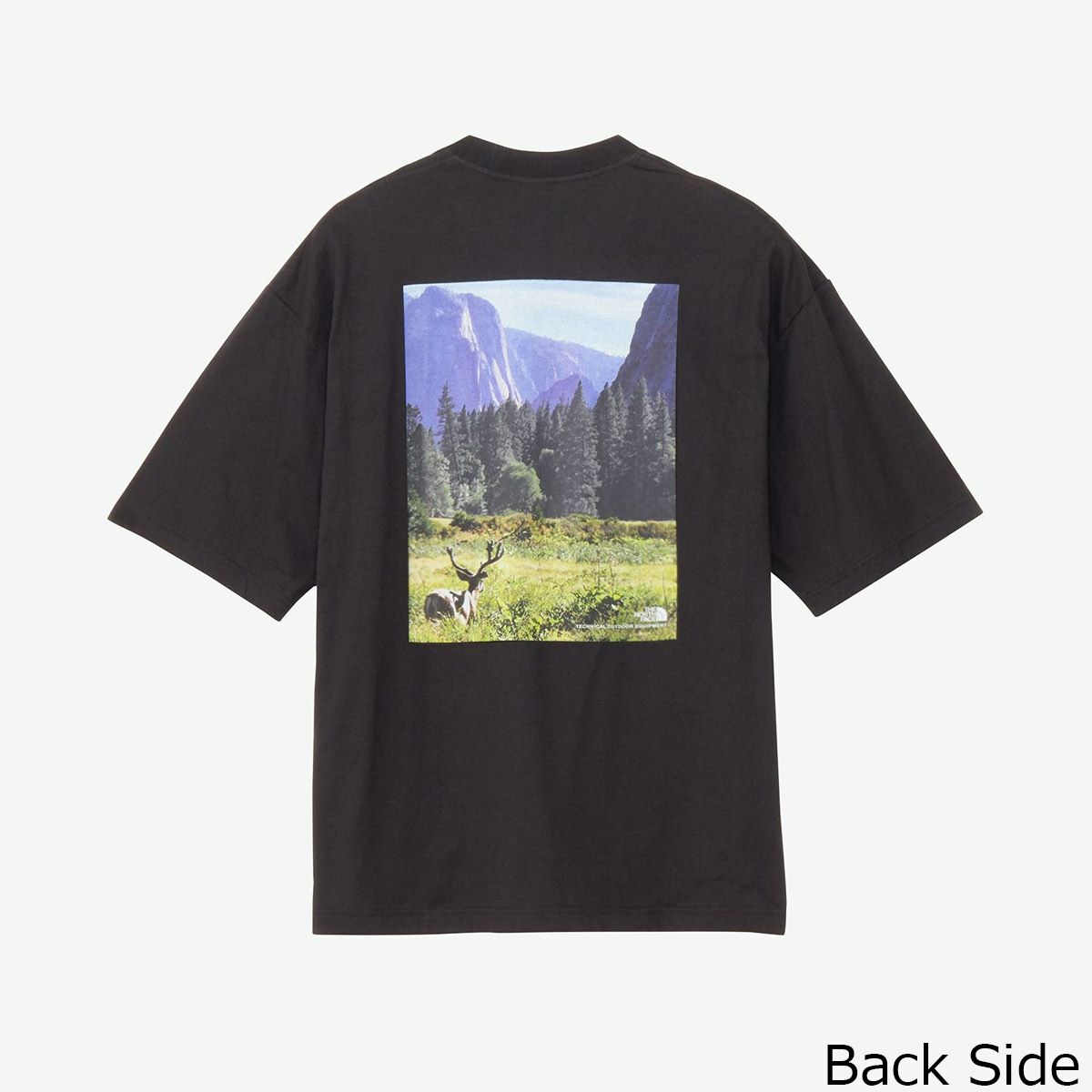 ザ・ノース・フェイスTHENORTHFACEアウトドアカジュアルウェア半袖TシャツショートスリーブヨセミテシーナリーティーS/SYOSEMITESCENERYTEENT32436-K2メンズレディースユニセックス25SS春夏