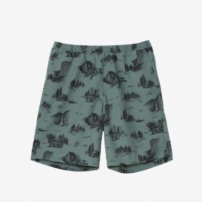 ザ・ノース・フェイスTHENORTHFACEアウトドアカジュアルウェアボトムスショートハーフパンツ短パンアロハベントショーツALOHAVENTSHORTNB42532-YNメンズ男性25SS春夏