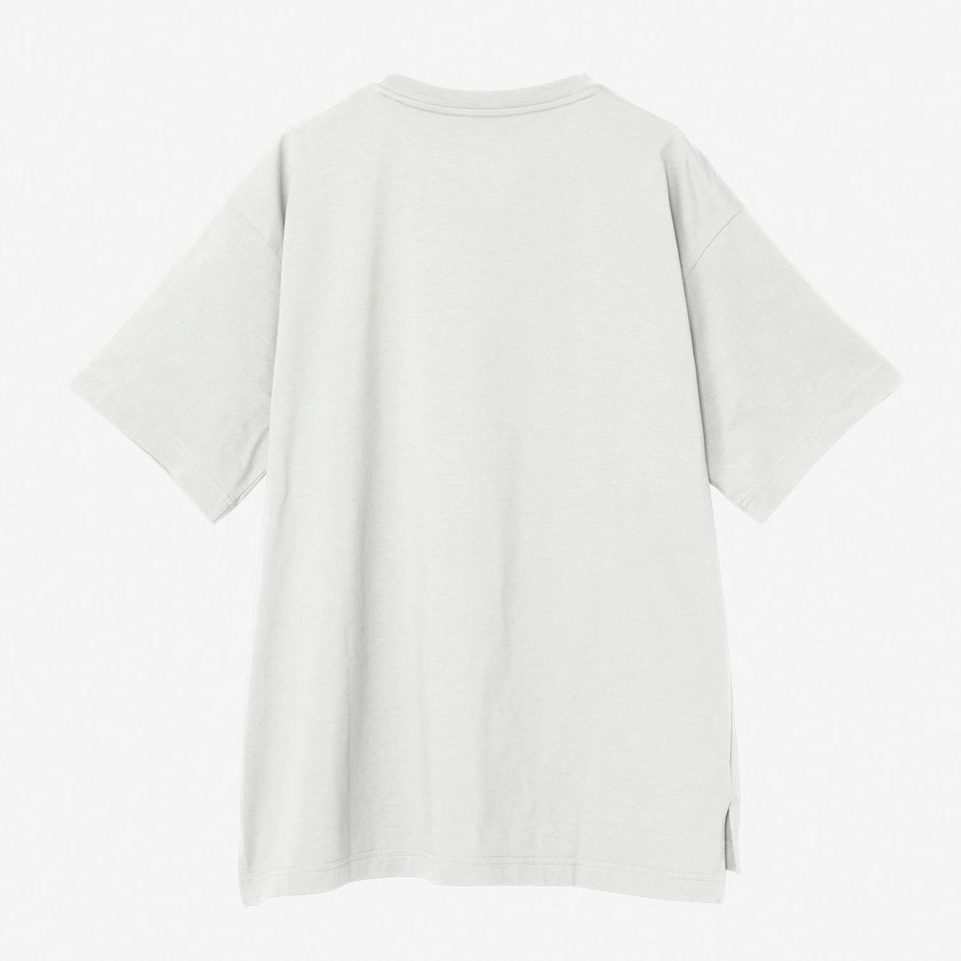 ザ・ノース・フェイスTHENORTHFACEアウトドアカジュアルウェア半袖TシャツショートスリーブフラッシュドライリラックスコットンティーS/SFDRELAXCOTTONTEENTW32541-Wレディース女性25SS春夏