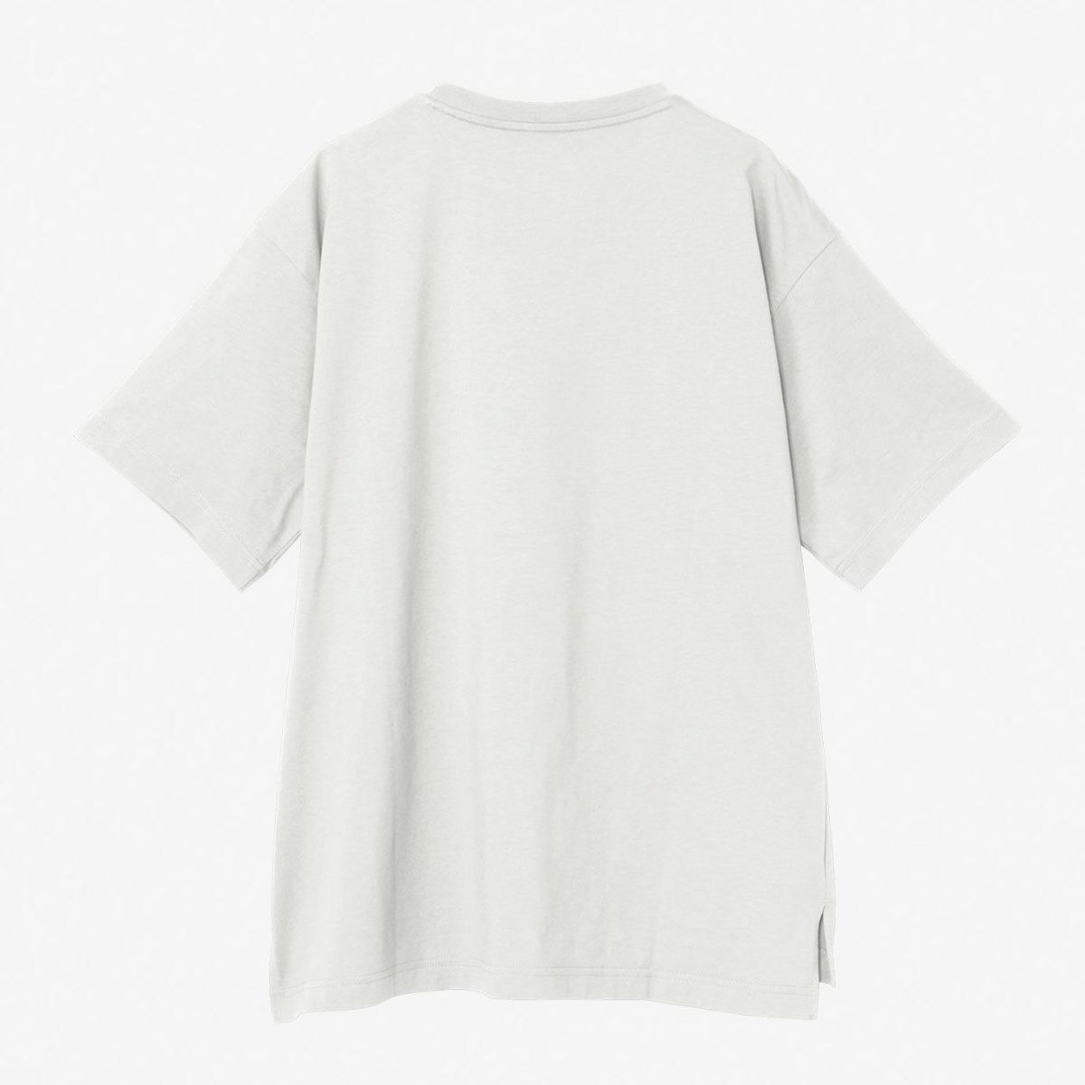 ザ・ノース・フェイスTHENORTHFACEアウトドアカジュアルウェア半袖TシャツショートスリーブフラッシュドライリラックスコットンティーS/SFDRELAXCOTTONTEENTW32541-Wレディース女性25SS春夏