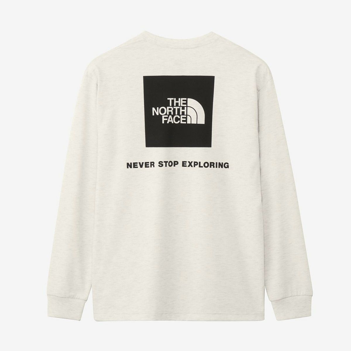 ザ・ノース・フェイスTHENORTHFACEアウトドアカジュアルウェア長袖TシャツロンTロングスリーブバックスクエアロゴティーL/SBACKSQUARELOGOTEENT32442メンズ男性25SS春夏