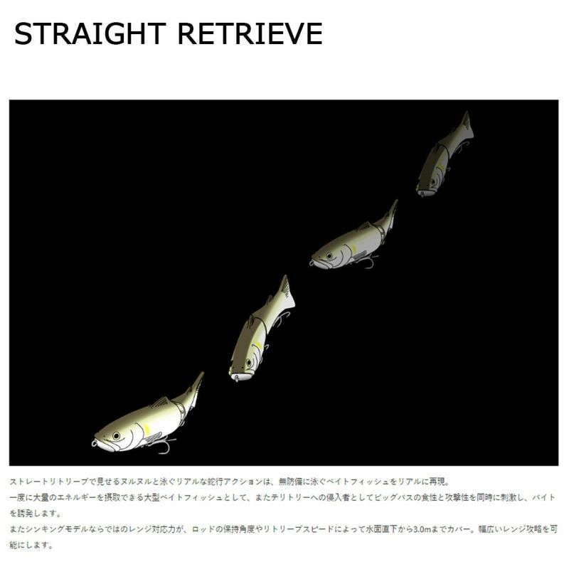 デプスDEPSフィッシング釣りルアービッグベイトNWESLIDESWIMMER250ニュースライドスイマー250#94リアルケタバス0091-0594