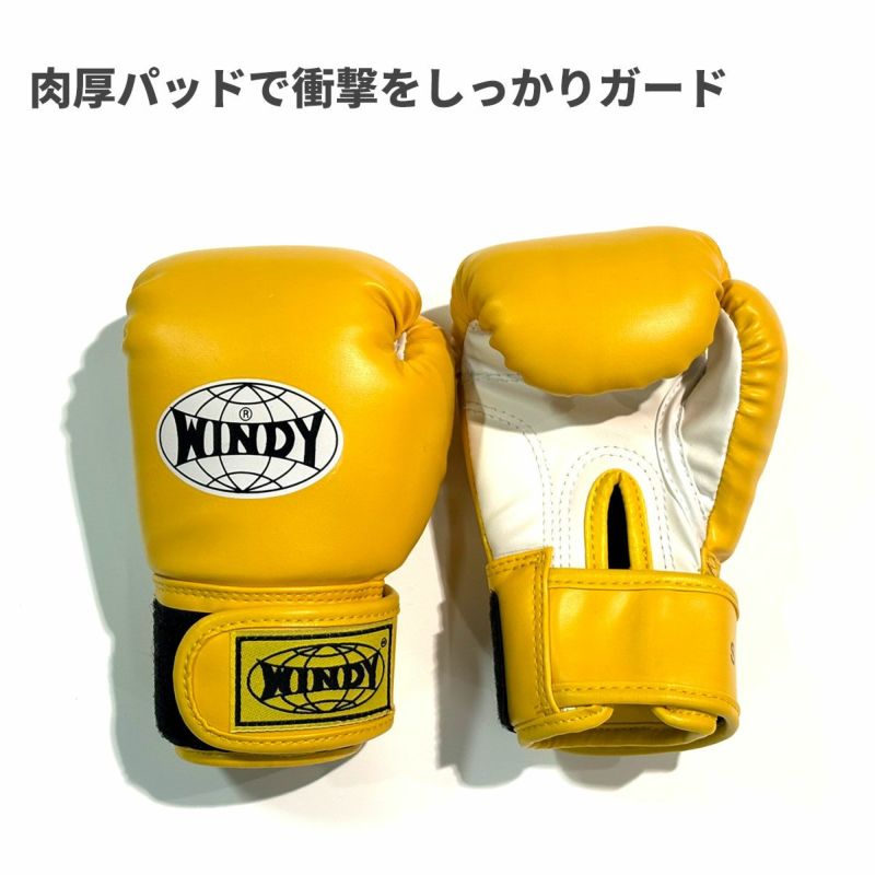 送料無料／ ウィンディ WINDY BGVC ボクシング グローブ グラブ