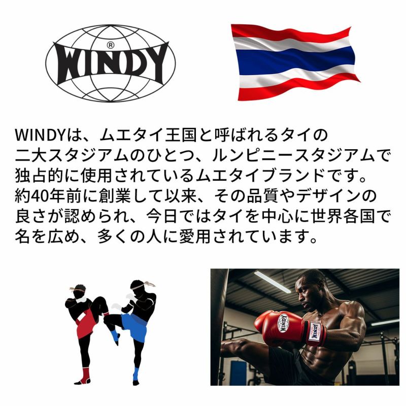 送料無料／ ウィンディ WINDY ヘッドガード スタンダードタイプ