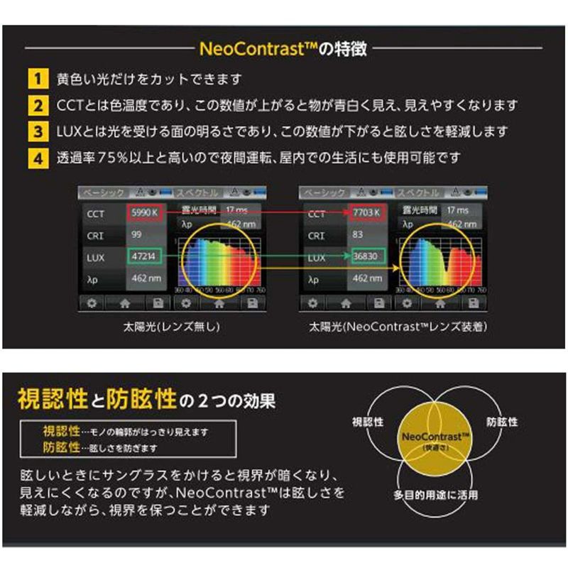 ココログラス556glassアウトドアカジュアルサングラスSHANNON556SHANNONメンズレディースユニセックス