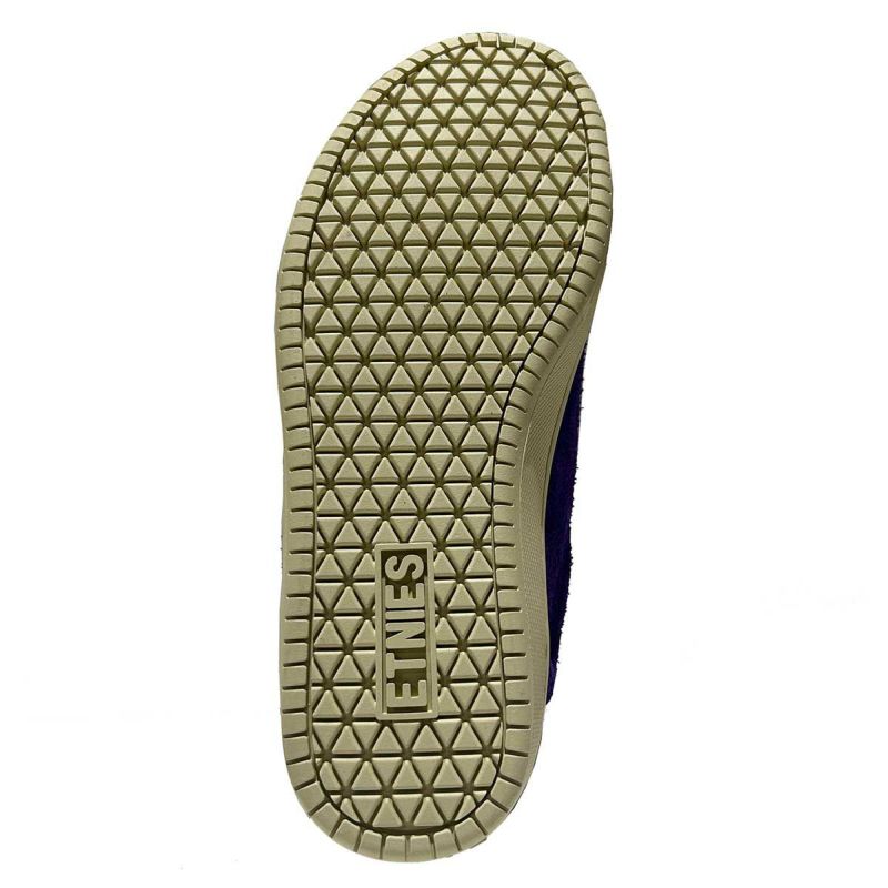 エトニーズETNIESスケボースケートボードスケシュースニーカーシューズ靴サル23SAL234102000155-500メンズ男性25FA秋冬