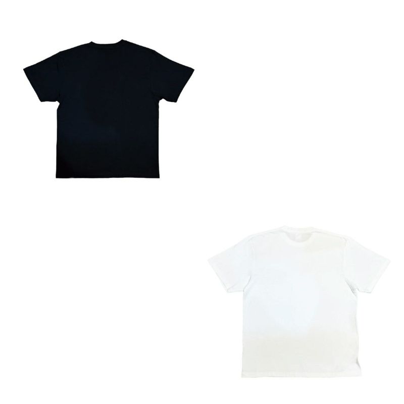 ニュートラルNEWTRAサーフィンサーフウェア半袖TシャツArchLogoTeeNT2252014メンズ男性25SU春夏