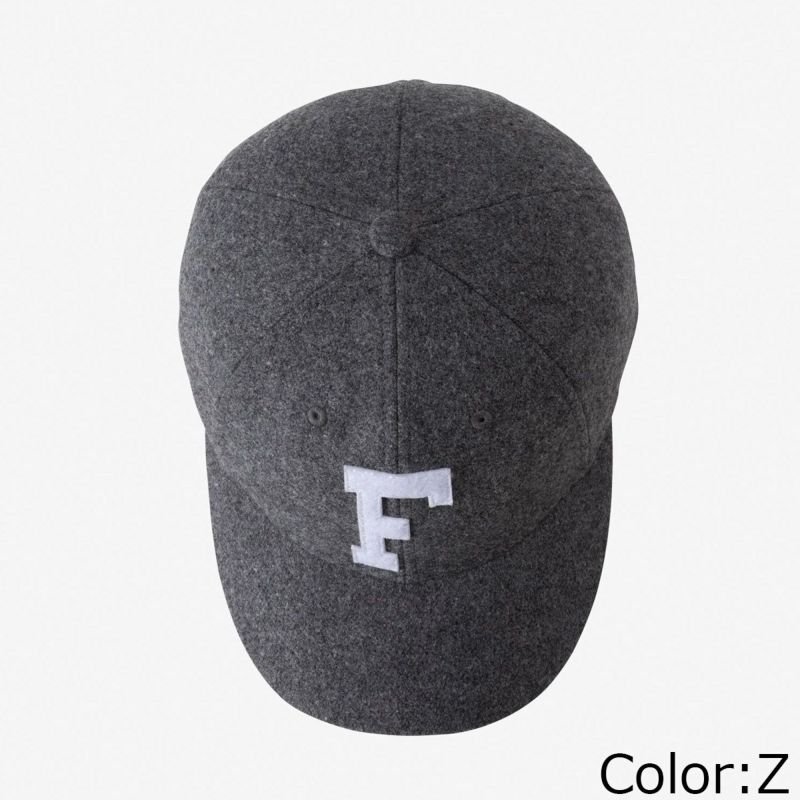 ザ・ノース・フェイスTHENORTHFACEアウトドアカジュアル帽子キャップTNFロゴフランネルキャップLOGOFLNELCAPNN42338-CKメンズレディースユニセックス25FW秋冬