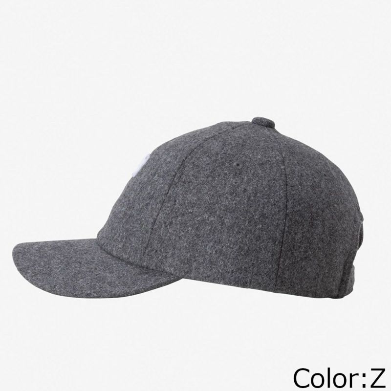 ザ・ノース・フェイスTHENORTHFACEアウトドアカジュアル帽子キャップTNFロゴフランネルキャップLOGOFLNELCAPNN42338-NTメンズレディースユニセックス25FW秋冬