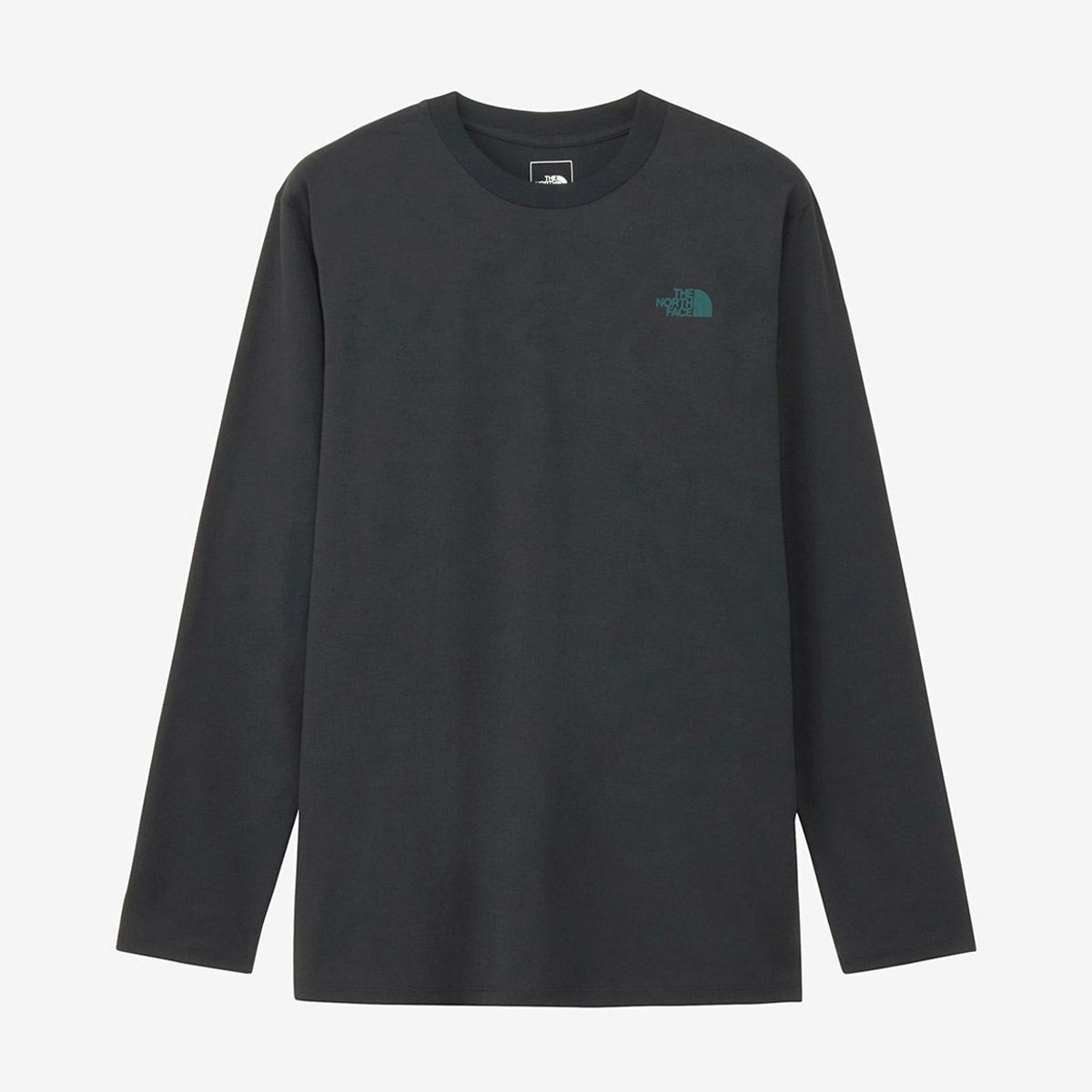 ザ・ノース・フェイスTHENORTHFACEアウトドアカジュアルウェア長袖TシャツロンTロングスリーブイーエスクライミングロゴティーL/SESCLMNGLGTNT82593-Kメンズ男性25FW秋冬