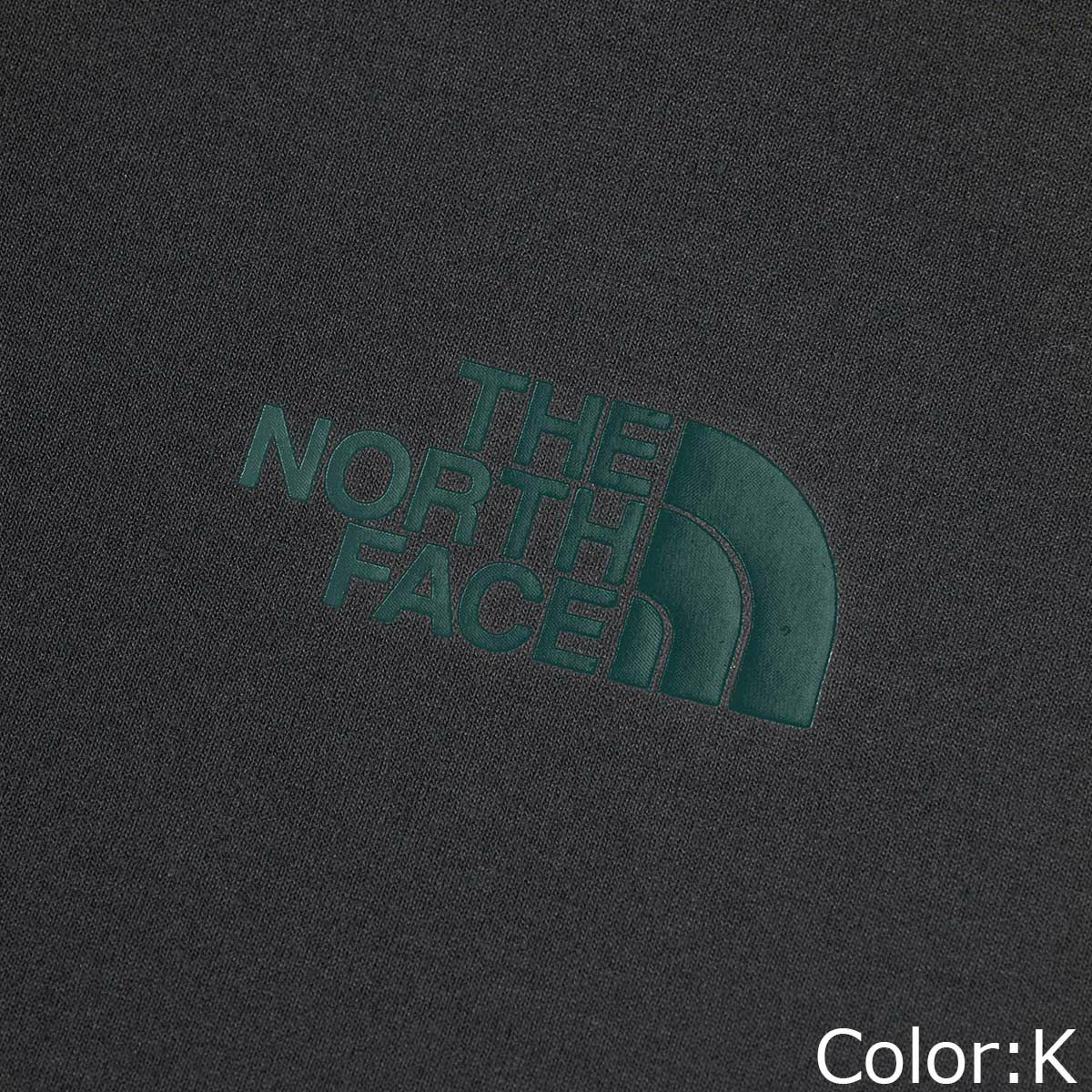 ザ・ノース・フェイスTHENORTHFACEアウトドアカジュアルウェア長袖TシャツロンTロングスリーブイーエスクライミングロゴティーL/SESCLMNGLGTNTW82584-Kレディース女性25FW秋冬