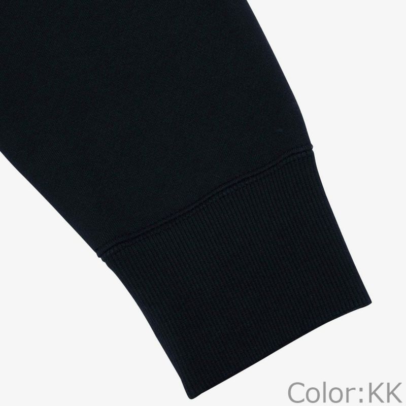 ザ・ノース・フェイスTHENORTHFACEアウトドアカジュアルウェアスウェットパーカーリアビューフルジップフーディREARVIEWFULZIPHDNT12442-WWメンズ男性25FW秋冬