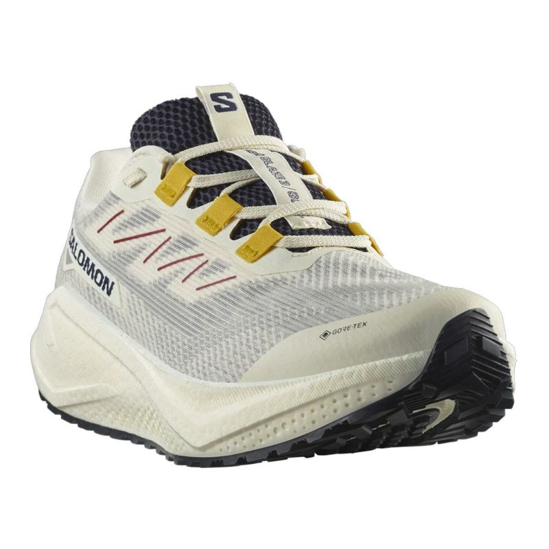 サロモンSALOMONランニングランシューシューズ靴AEROBLAZE3GRVLGORE-TEXL47953200メンズ男性25FA秋冬