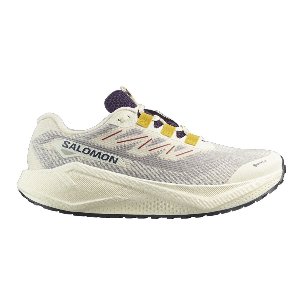 サロモンSALOMONランニングランシューシューズ靴AEROBLAZE3GRVLGORE-TEXL47953200メンズ男性25FA秋冬