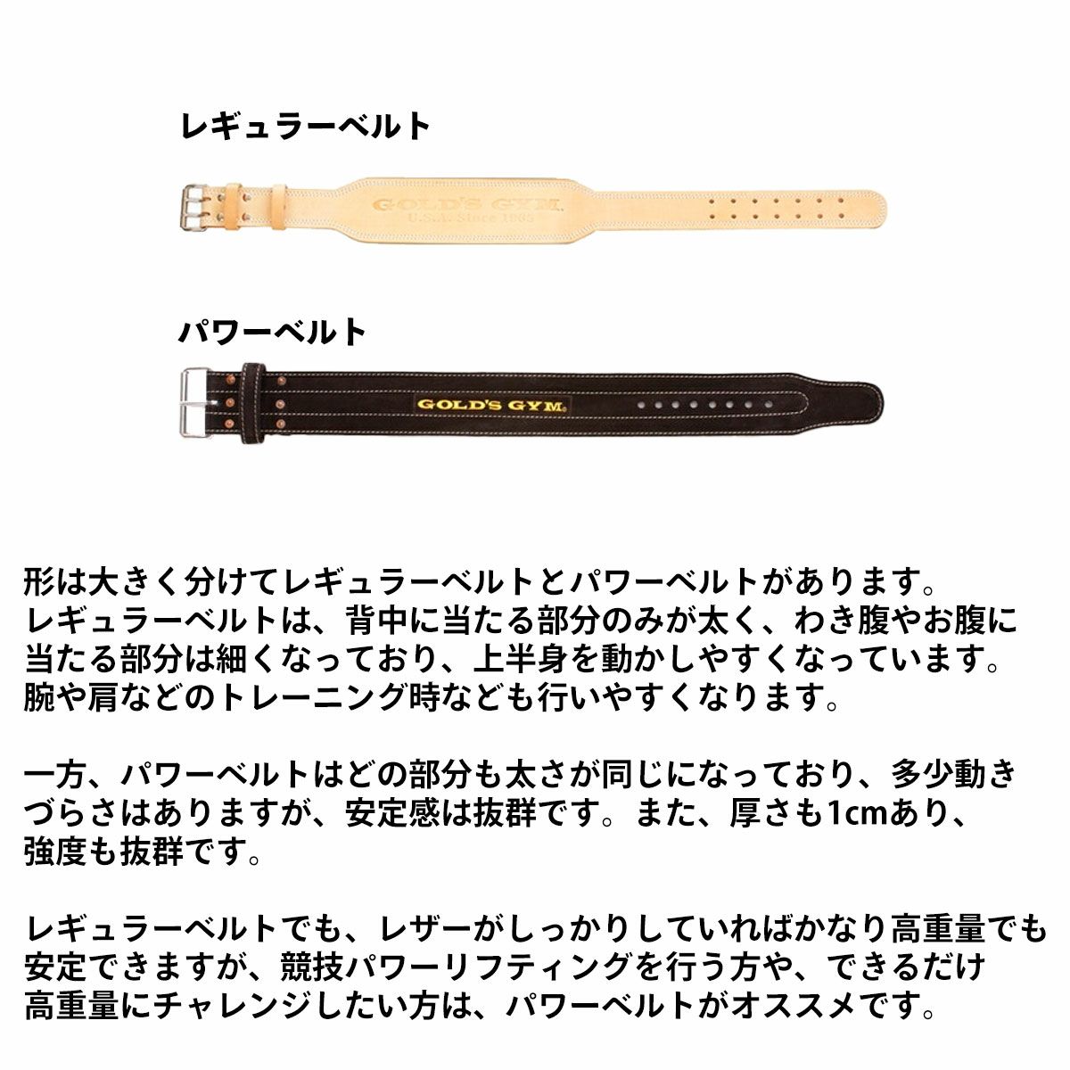 ゴールドジム GOLD'S GYM EXレザーベルト G3322 トレーニングベルト 本