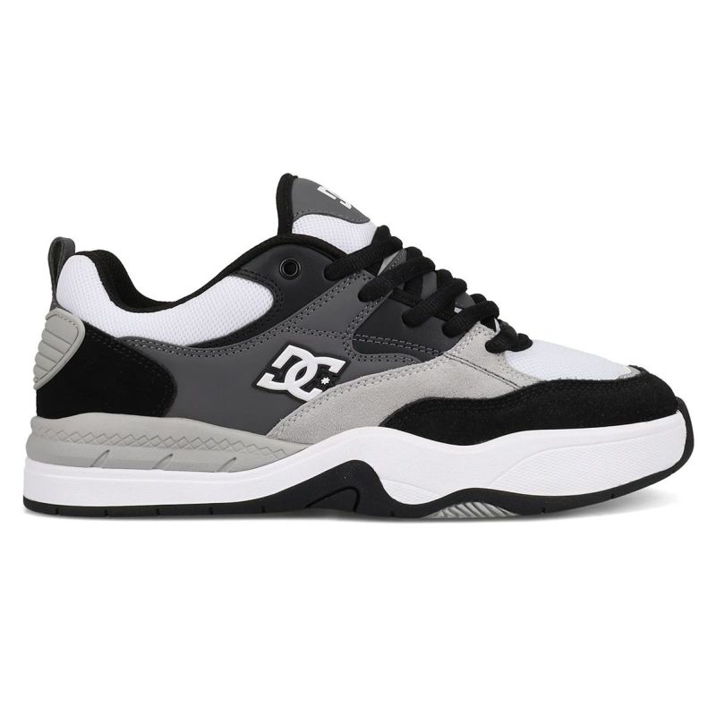 ディーシーDCスケボースケートボードスケシュースニーカーシューズ靴ASCENDSDS254002-002メンズ男性25FA秋冬