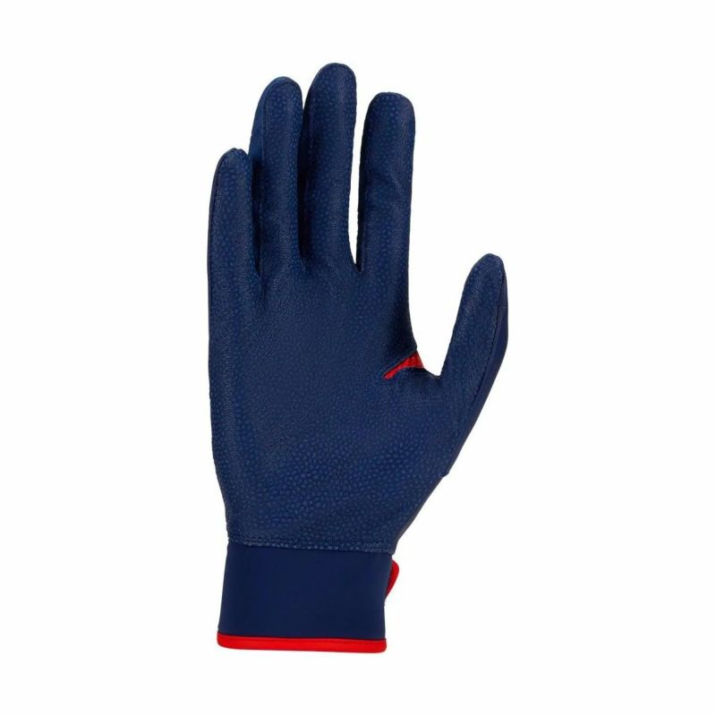 ナイキNIKEベースボール野球ソフトボールグローブ手袋アルファエリート2.0バッティング手袋両手用BA1203-638メンズレディースユニセックス25FA秋冬