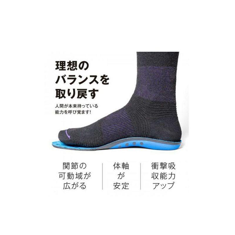 ディーラックスDEELUXEスノボースノボスノーボードBANEインソール+BANE-7025-000125-26