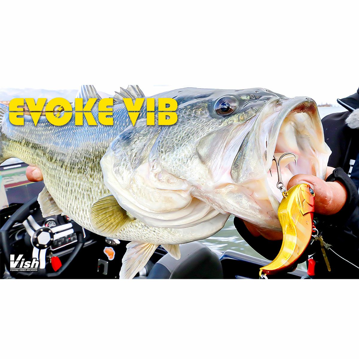 デプス DEPS イヴォーク バイブ #08ホライズンシャッド EVOKE VIB