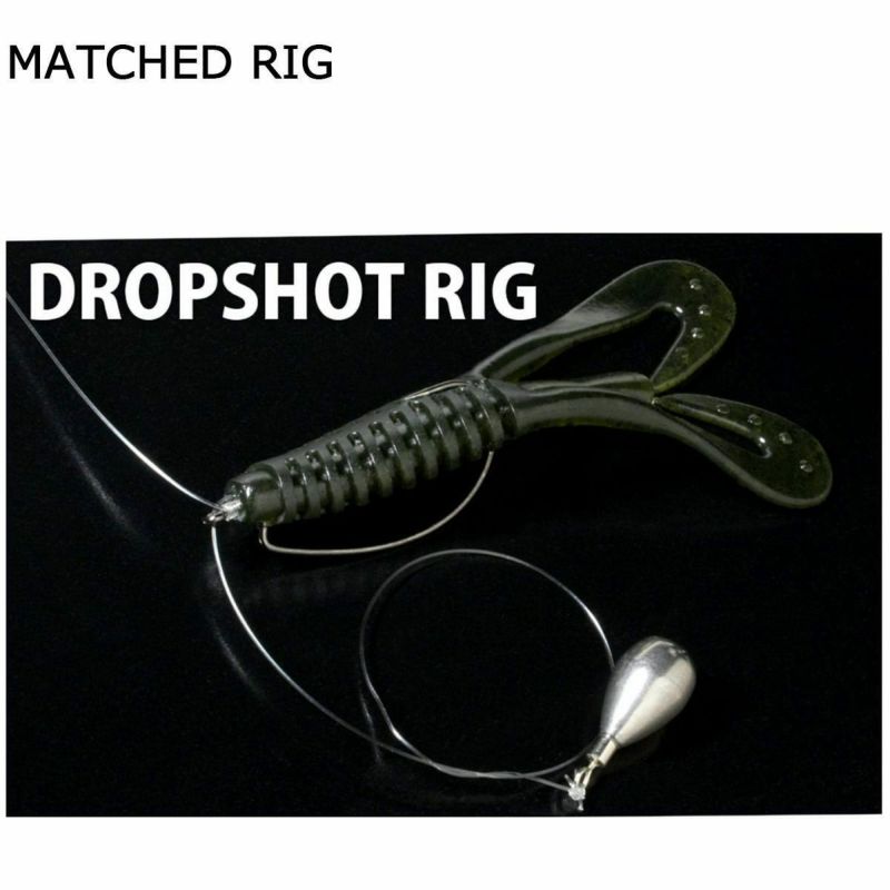 デプスDEPSフィッシング釣りルアーバルビュータ3インチ#20ウォーターメロンプロブルーBARBUTE3inch4544565638200