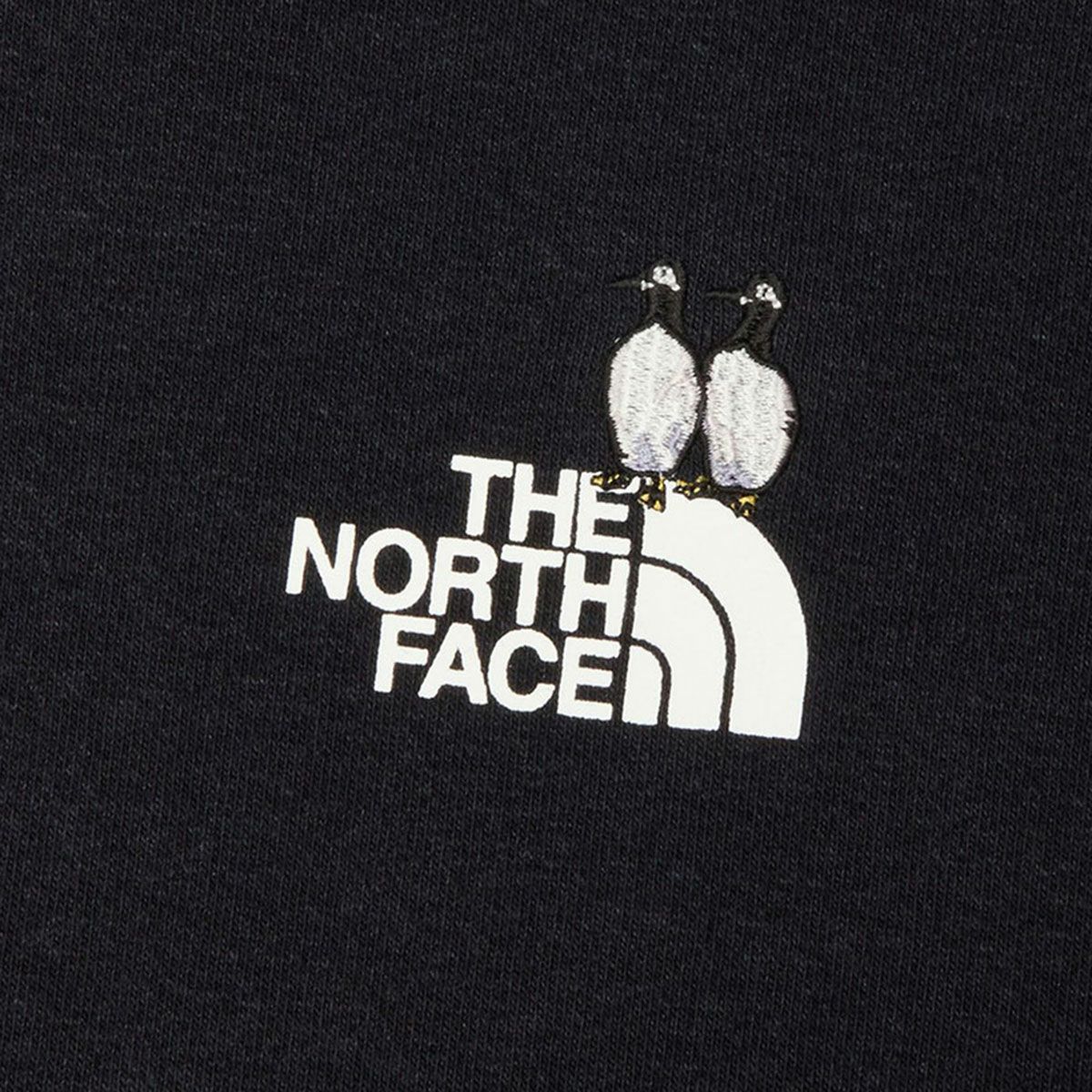 ザ・ノース・フェイスTHENORTHFACEアウトドアカジュアルウェアスウェットパーカーズーピッカーフーディNT12645-Kメンズレディースユニセックス