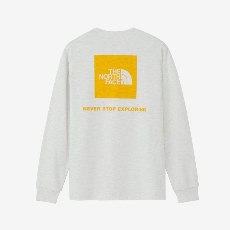 ザ・ノース・フェイスTHENORTHFACEアウトドアカジュアルウェア長袖TシャツロンTロングスリーブバックスクエアロゴティーNT32442-WSメンズ男性26SP春夏