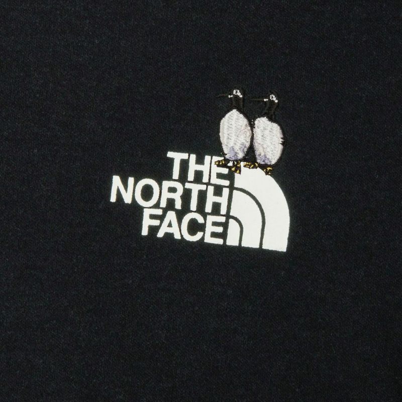 ザ・ノース・フェイスTHENORTHFACEアウトドアカジュアルウェア長袖TシャツロンTロングスリーブズーピッカーティーNT32658-SLメンズレディースユニセックス26SP春夏