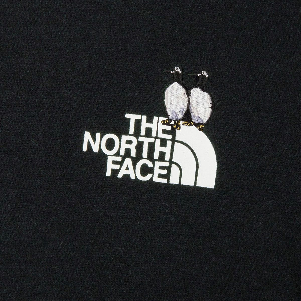 ザ・ノース・フェイスTHENORTHFACEアウトドアカジュアルウェア半袖TシャツショートスリーブズーピッカーティーNT32659-SLメンズレディースユニセックス26SP春夏