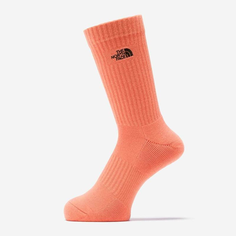 ザ・ノース・フェイスTHENORTHFACEアウトドアカジュアルソックス靴下ロゴ2PクルーLOGO2PCREWNN82610-LC26SP春夏