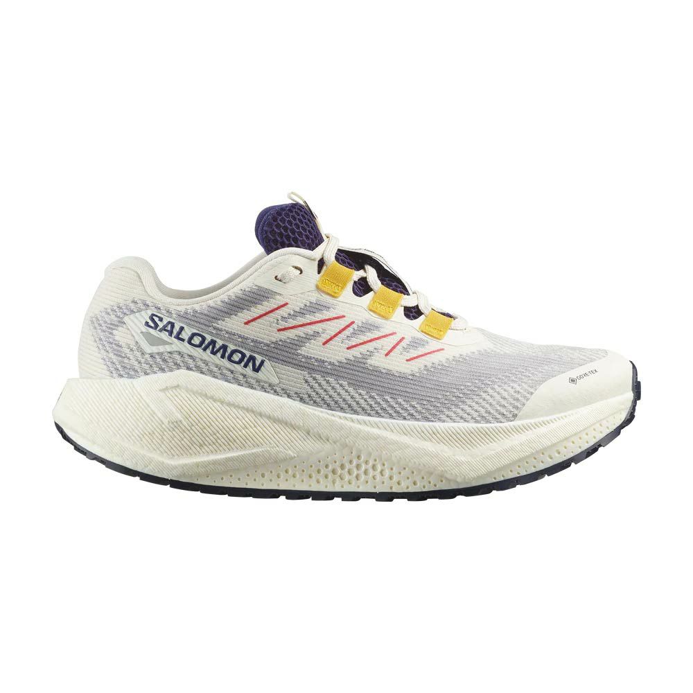 サロモンSALOMONランニングランシューシューズ靴AEROBLAZE3GRVLGORE-TEXL47974100レディース女性26SP春夏