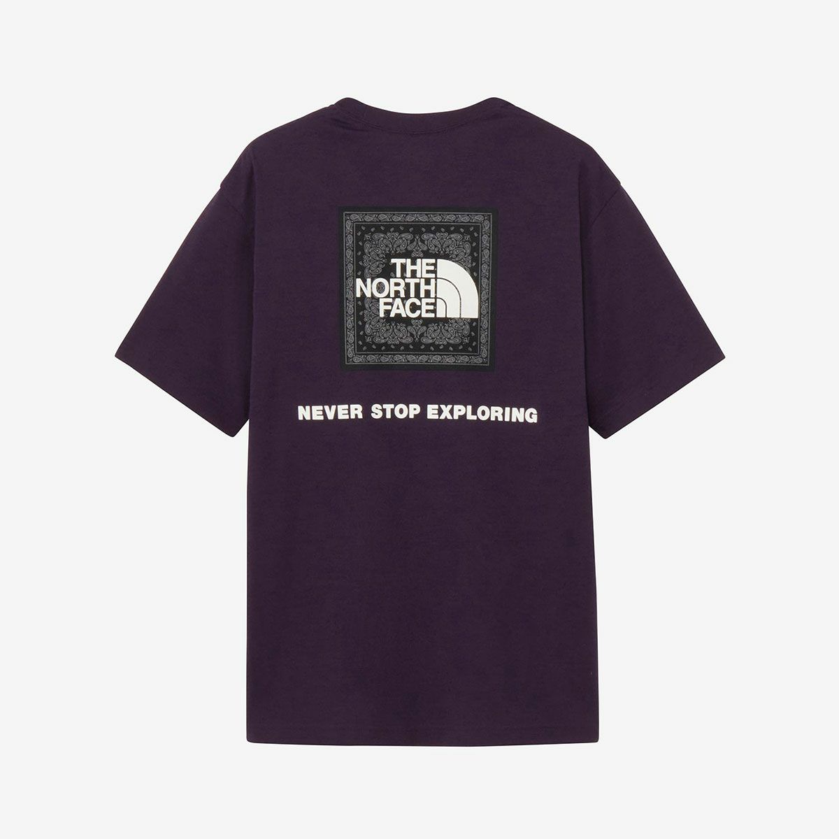 ザ・ノース・フェイスTHENORTHFACEアウトドアカジュアルウェア半袖TシャツショートスリーブバンダナスクエアロゴティーNT32446-EDメンズ男性26SP春夏